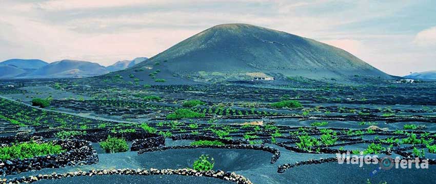 Lanzarote cultivos de uva en la Geria