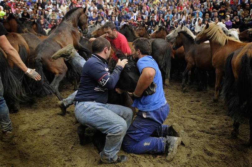 Rapa das Bestas Sabucedo